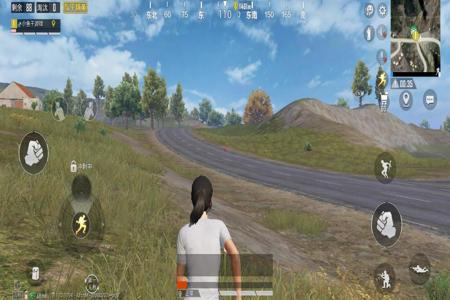 和平精英辅助器ios透视(和平精英辅助器应用ios) 和平精英辅助器ios透视(和平精英辅助器应用ios)