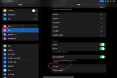 苹果和平精英辅助功能设置（苹果和平精英辅助触碰功能）