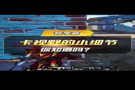 和平精英主播有辅助软件吗(和平精英主播用的什么辅助软件) 和平精英主播有辅助软件吗(和平精英主播用的什么辅助软件)