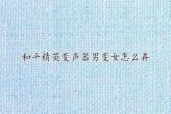 和平精英辅助变音器免费版（和平精英游戏变声器免费版）