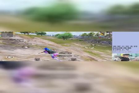 和平精英外挂东北虎怎么用(和平精英外挂鸡腿怎么用) 和平精英外挂东北虎怎么用(和平精英外挂鸡腿怎么用)