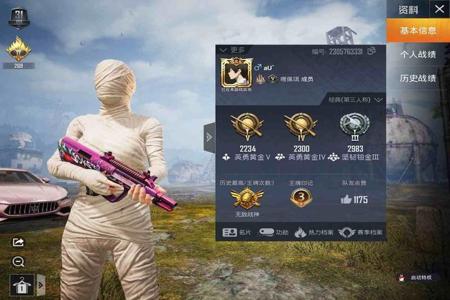 和平精英苹果的辅助(和平精英苹果辅助最稳定) 和平精英苹果的辅助(和平精英苹果辅助最稳定)