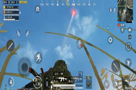 淘宝和平精英吃鸡辅助好用吗(和平精英吃鸡辅助神器好用吗) 淘宝和平精英吃鸡辅助好用吗(和平精英吃鸡辅助神器好用吗)