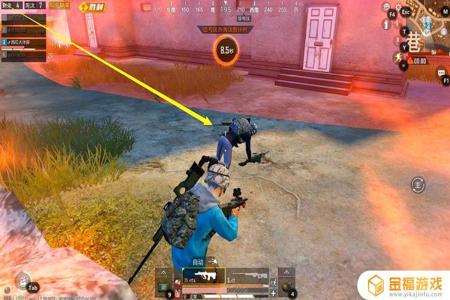 和平精英niko辅助稳吗(和平精英鸭腿辅助稳吗) 和平精英niko辅助稳吗(和平精英鸭腿辅助稳吗)