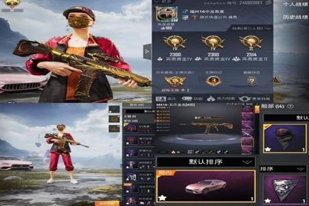 苹果13和平精英辅助器(苹果13和平精英高刷) 苹果13和平精英辅助器(苹果13和平精英高刷)