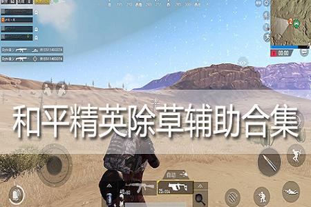 加多宝和平精英辅助(和平精英最贵辅助) 加多宝和平精英辅助(和平精英最贵辅助)