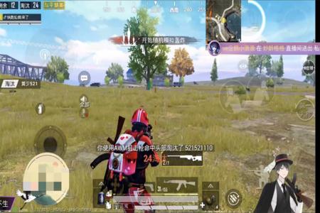 和平精英主播一般用的什么外挂(和平精英主播一般都用什么外挂) 和平精英主播一般用的什么外挂(和平精英主播一般都用什么外挂)