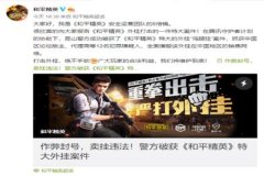 和平精英外挂什么时候涨价（和平精英外挂什么样）