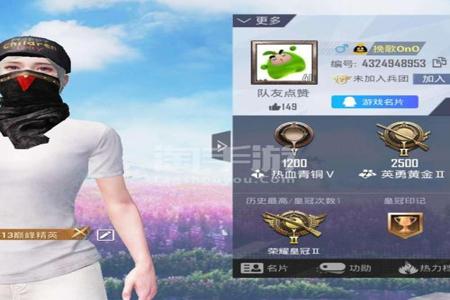 和平精英id是外挂吗(和平精英id就是编号吗) 和平精英id是外挂吗(和平精英id就是编号吗)