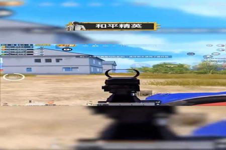 手机自带的辅助和平精英(手机带不动和平精英) 手机自带的辅助和平精英(手机带不动和平精英)