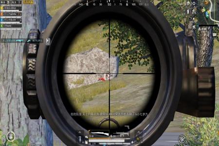 和平精英去哪里买辅助(和平精英去哪里买枪) 和平精英去哪里买辅助(和平精英去哪里买枪)