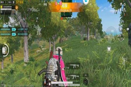 安卓和平精英透视辅助卡盟(和平精英透视辅助安卓版下载) 安卓和平精英透视辅助卡盟(和平精英透视辅助安卓版下载)