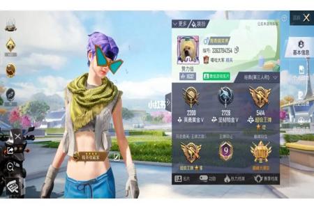 和平精英电脑板外挂(和平精英外挂) 和平精英电脑板外挂(和平精英外挂)