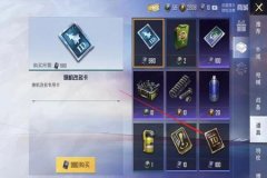 和平精英辅助器在哪开（和平精英辅助器在哪里）