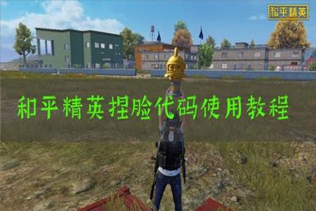 和平精英模拟器辅助哪有(和平精英模拟器最稳辅助) 和平精英模拟器辅助哪有(和平精英模拟器最稳辅助)